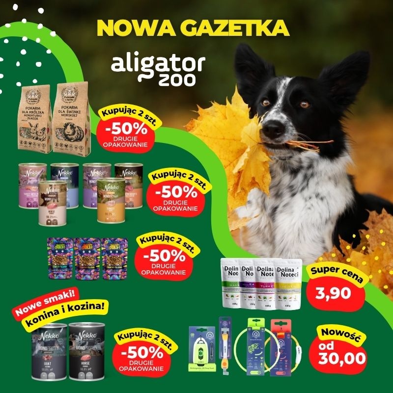 Jesienne promocje w ALIGATOR ZOO!