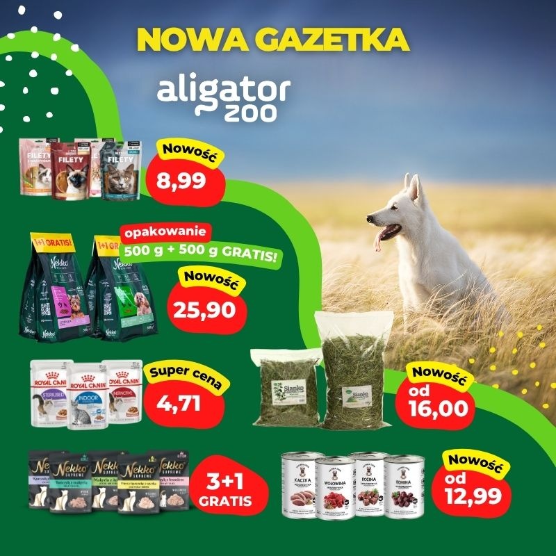 Aligator ZOO