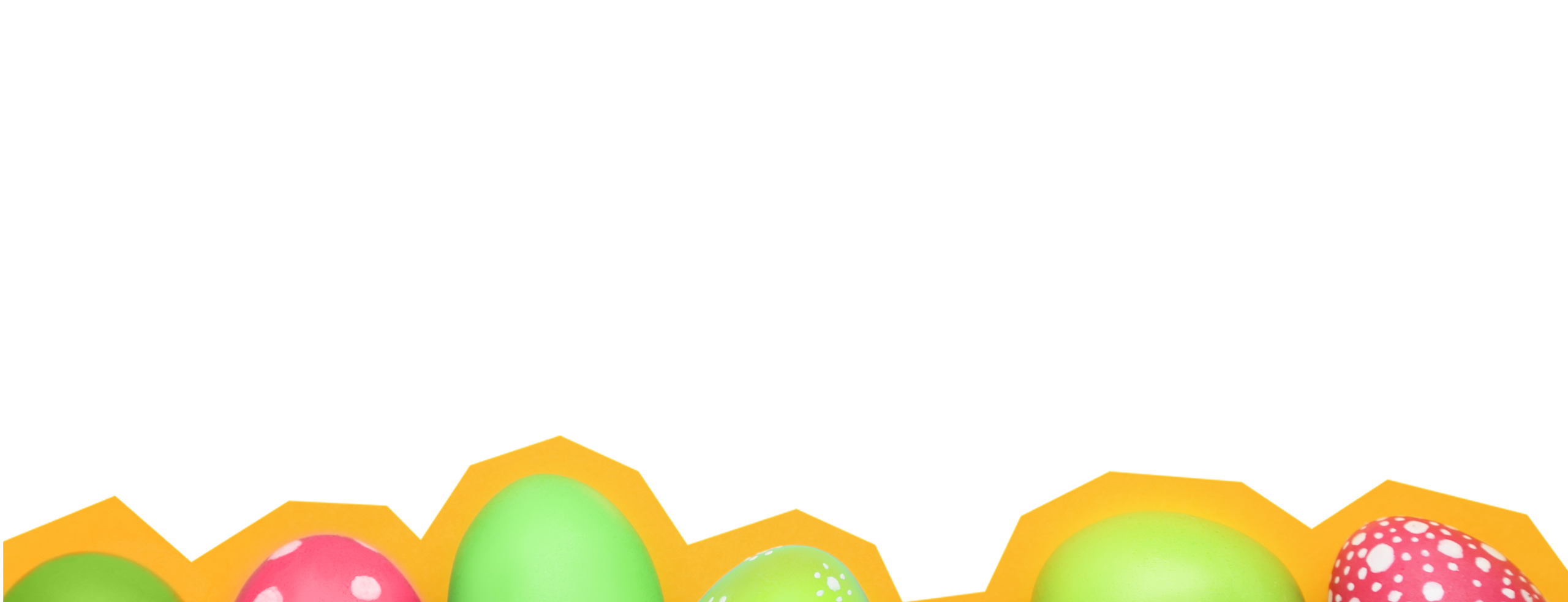 banner bg