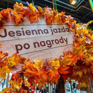 zdjecie