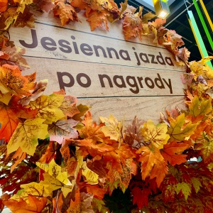 zdjecie